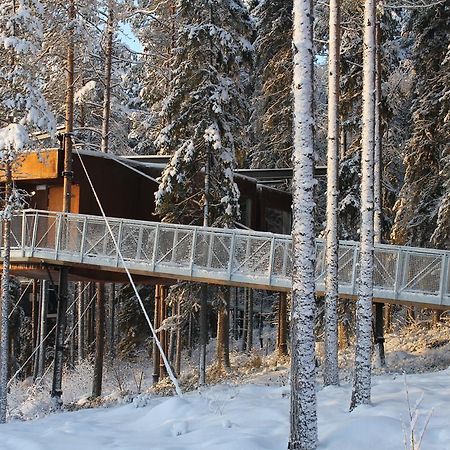 Treehotel Harads Dış mekan fotoğraf