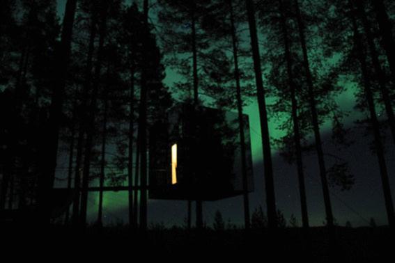 Treehotel Harads Dış mekan fotoğraf