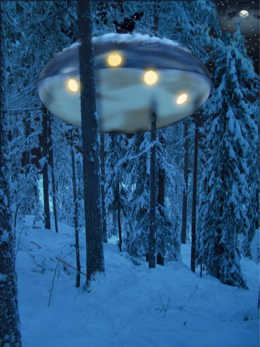 Treehotel Harads Dış mekan fotoğraf