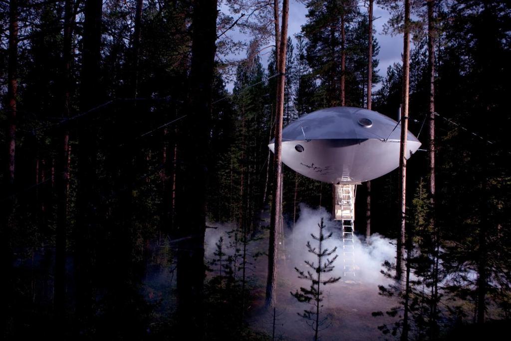 Treehotel Harads Oda fotoğraf