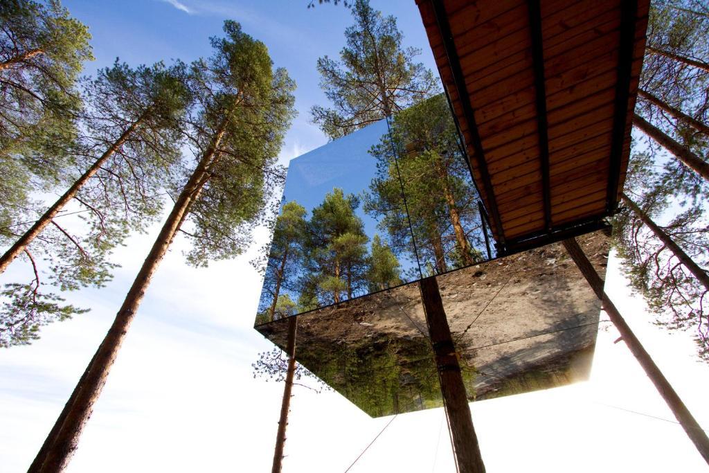 Treehotel Harads Oda fotoğraf