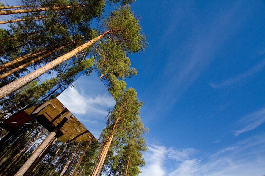Treehotel Harads Oda fotoğraf