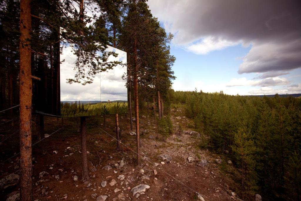 Treehotel Harads Oda fotoğraf
