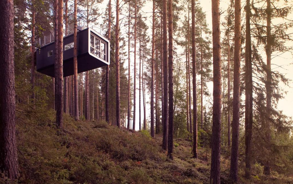 Treehotel Harads Oda fotoğraf