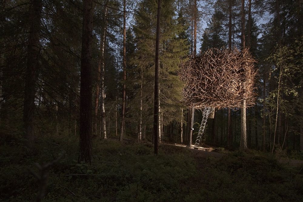 Treehotel Harads Dış mekan fotoğraf